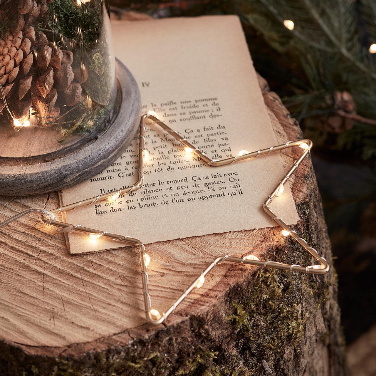 Lot de Décorations de Fenêtres de Noël