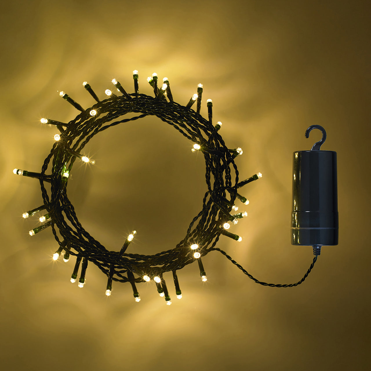 Guirlande Lumineuse à Piles 50 LED Blanc Chaud sur Câble Vert Foncé