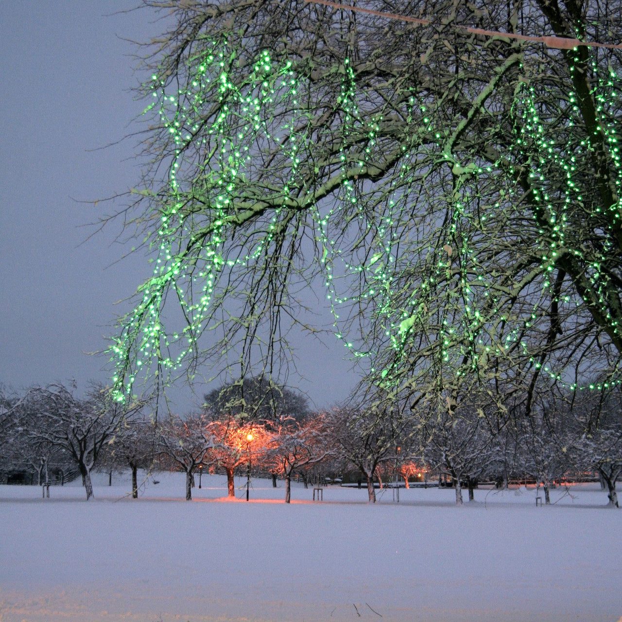 Guirlande Lumineuse 20m 200 LED Verte Câble Vert Raccordable Série Cœur
