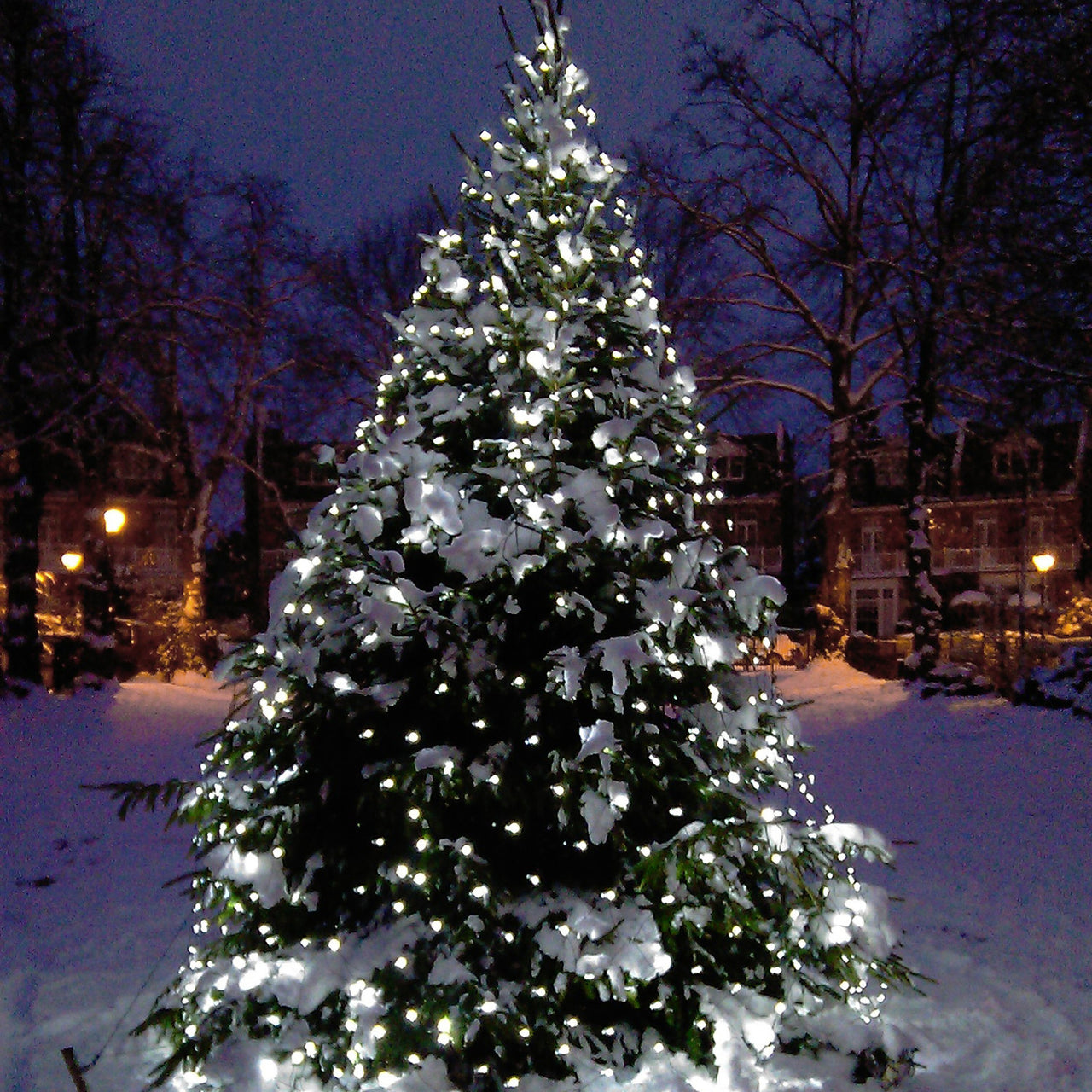 Filet Lumineux Raccordable 140 LED Blanches 2 x 2m