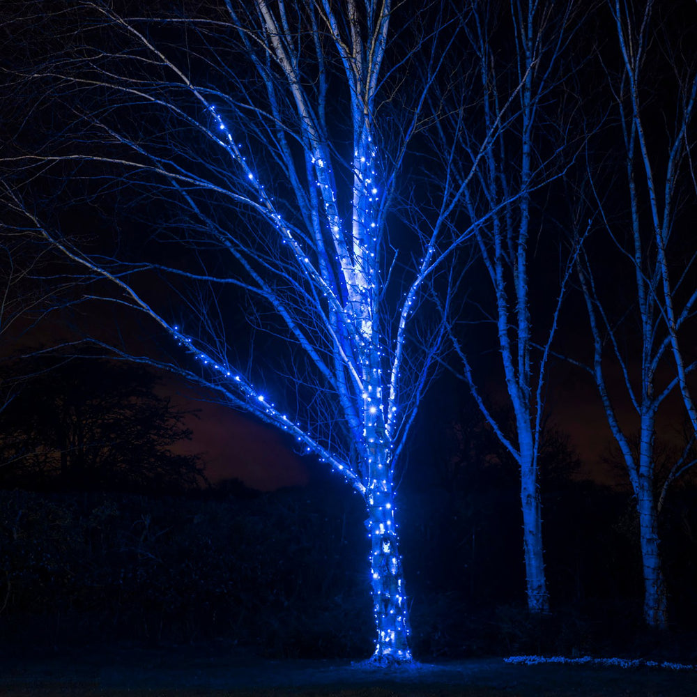 Guirlande Lumineuse 60m 600 LED Bleue Câble Noir Raccordable Série Pro
