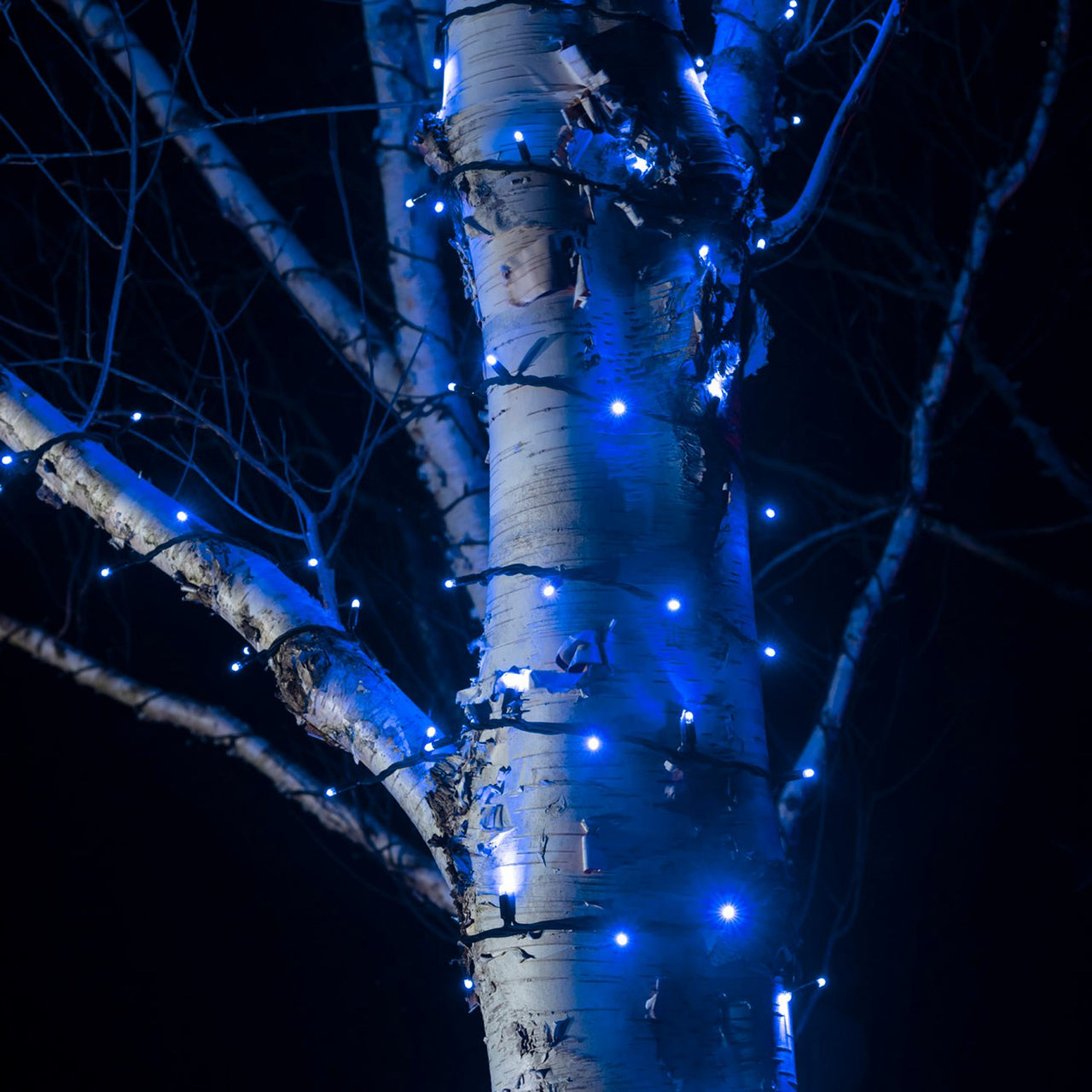 Guirlande Lumineuse 140m 1400 LED Bleue Câble Noir Raccordable Série Pro