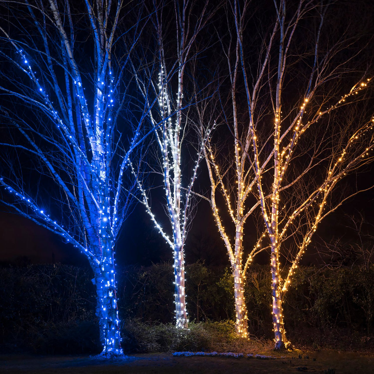 Guirlande Lumineuse 35m 350 LED Bleue Câble Noir Raccordable Série Pro