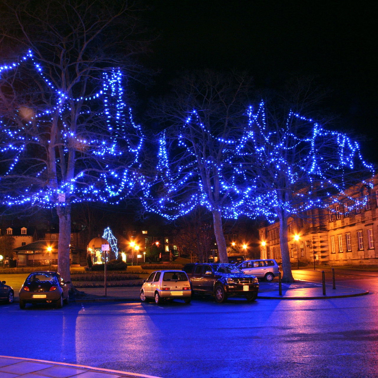 Guirlande Lumineuse 100m 1000 LED Bleue Câble Noir Raccordable Série Pro