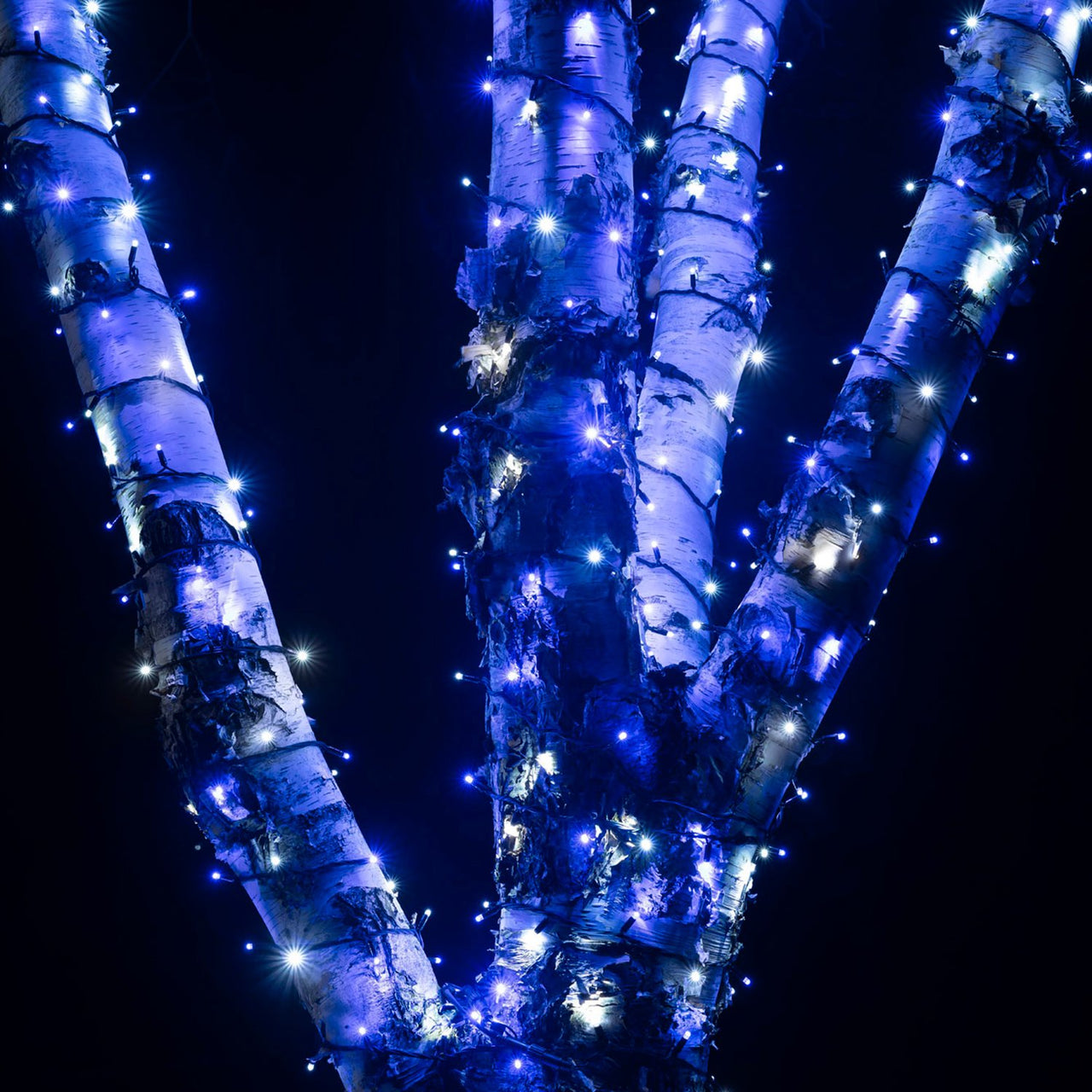 Guirlande Lumineuse 185m 1850 LED Bleue et Blanche Câble Noir Raccordable Série Pro