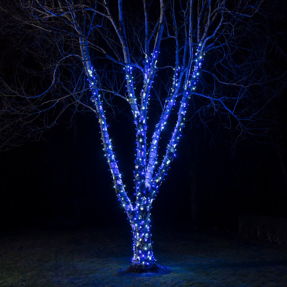 Guirlande Lumineuse 195m 1950 LED Bleue et Blanche Câble Noir Raccordable Série Pro