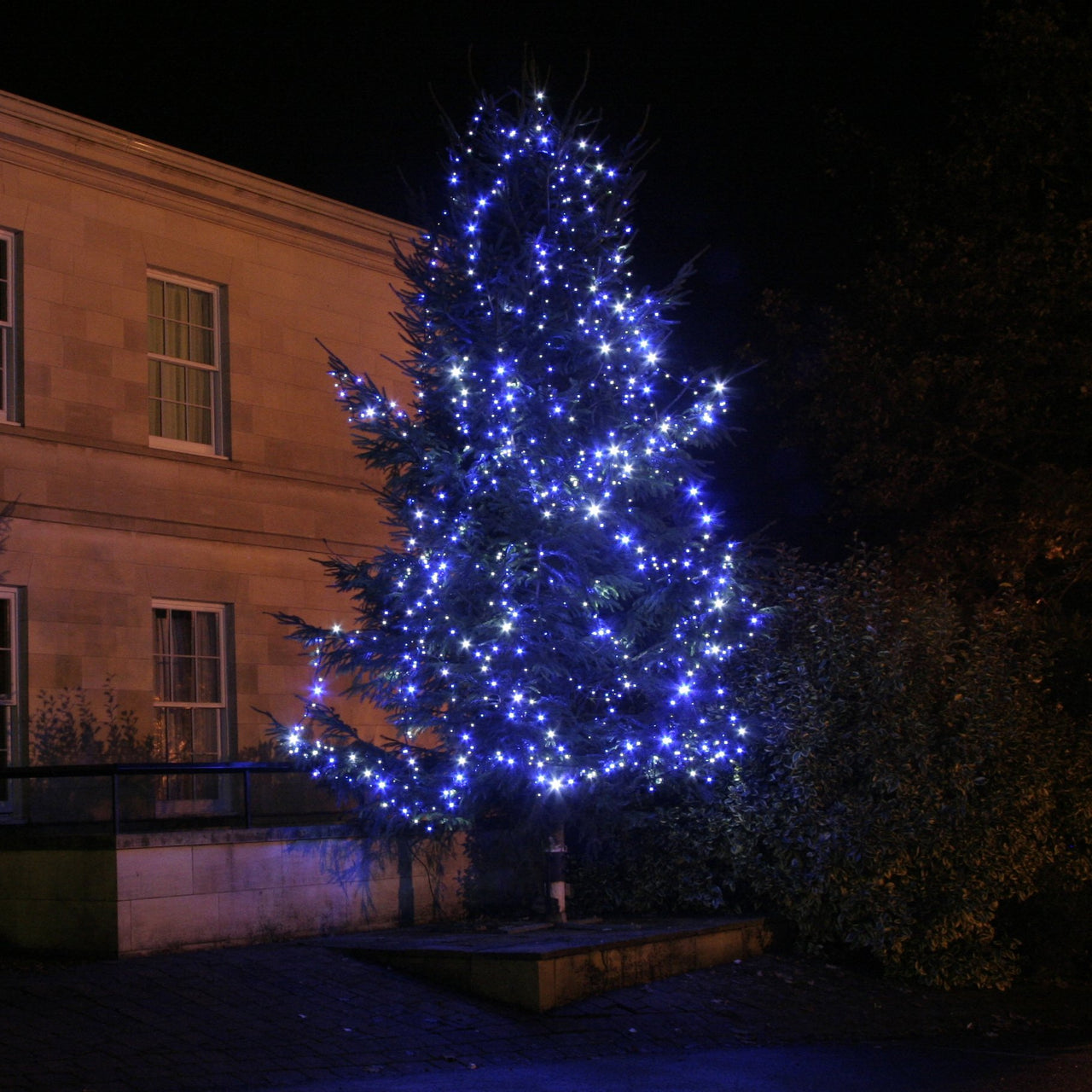 Guirlande Lumineuse 10m 100 LED Bleue et Blanche Câble Noir Raccordable Série Pro