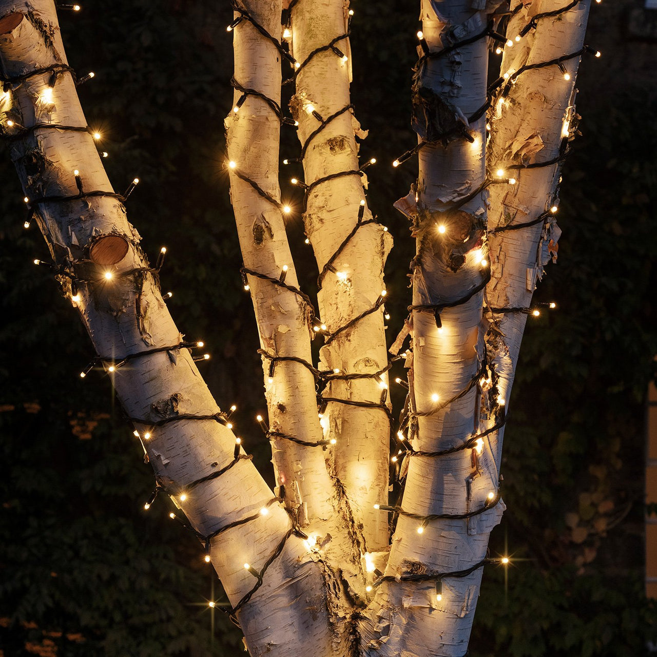 guirlande - 20 mètres - 200 led - blanc chaud - pétillant - festilight guirlande - 20 mètres - 200 led - blanc chaud - pétillant - festilight