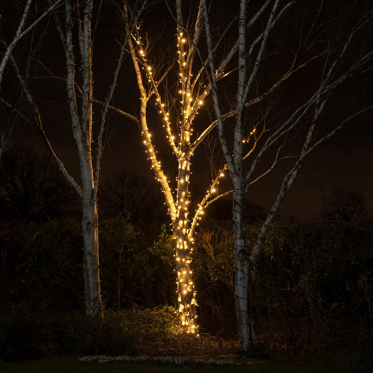 Guirlande lumineuse LED 100m 1000LEDs extérieur, éclairage de décoration de  Noël avec 8 modes, étanche Ip44, décoration de lumière blanche chaude pour