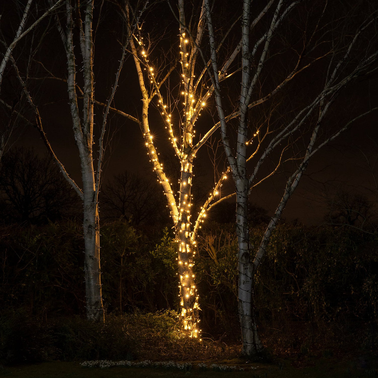 Guirlande Lumineuse 185m 1850 LED Blanc Chaud Câble Noir Raccordable Série Pro
