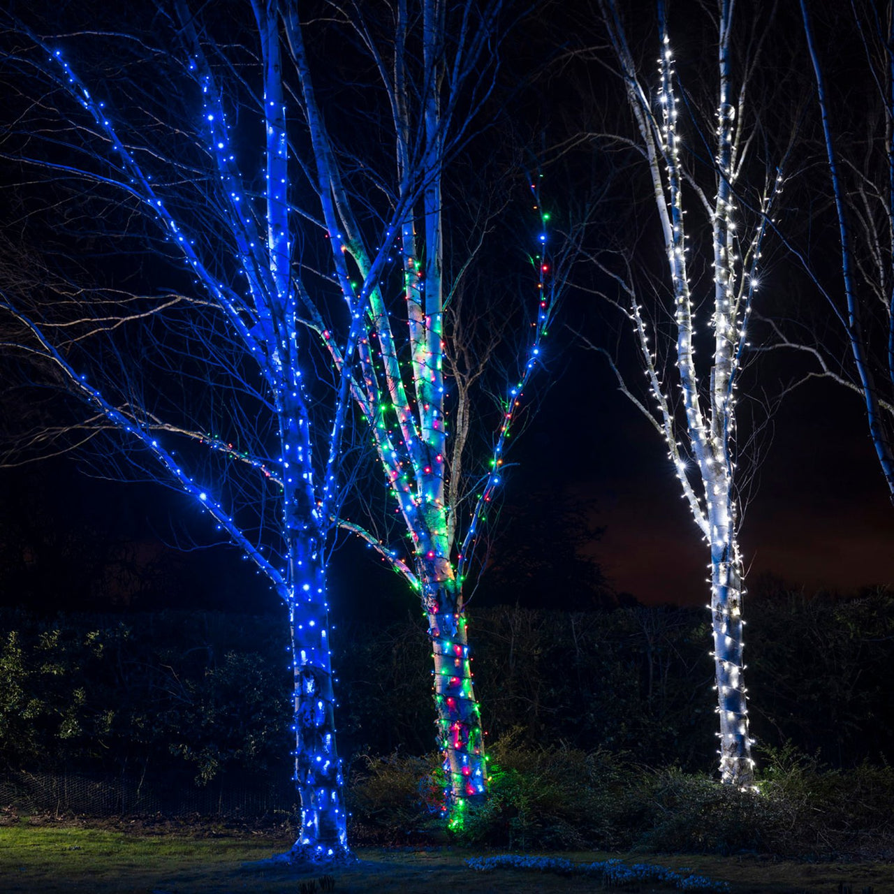Guirlande Lumineuse 175m 1750 LED Multicolore Câble Noir Raccordable Série Pro