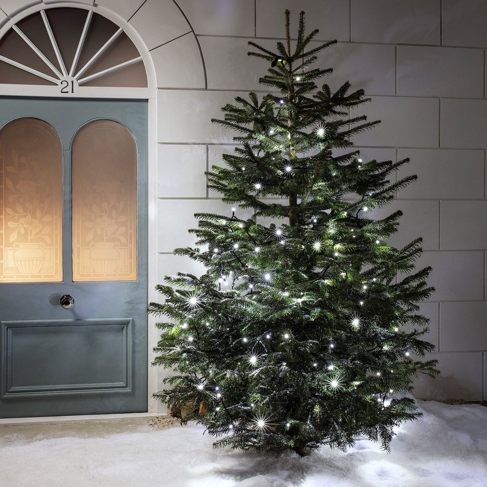 Guirlande Lumineuse 180m 1800 LED Blanche Câble Noir Raccordable Série Pro