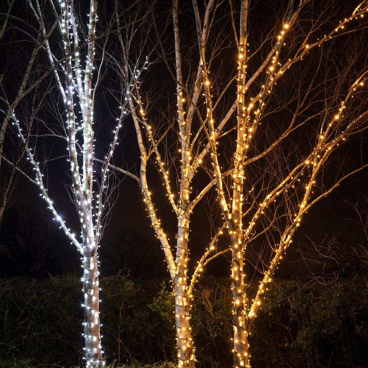 Guirlande Lumineuse 155m 1550 LED Blanche Câble Blanc Raccordable Série Pro
