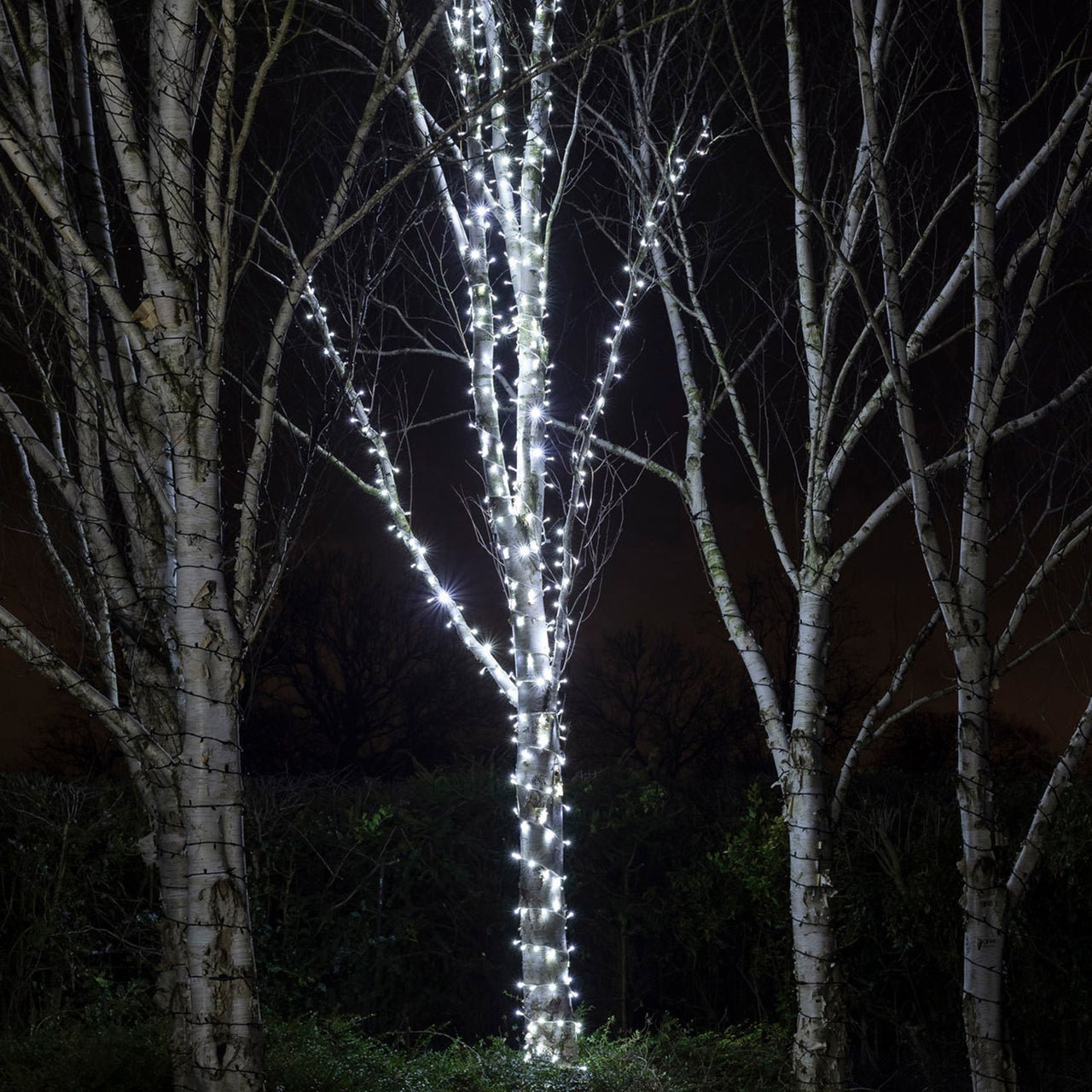 Guirlande Lumineuse 85m 850 LED Blanche Câble Blanc Raccordable Série Pro