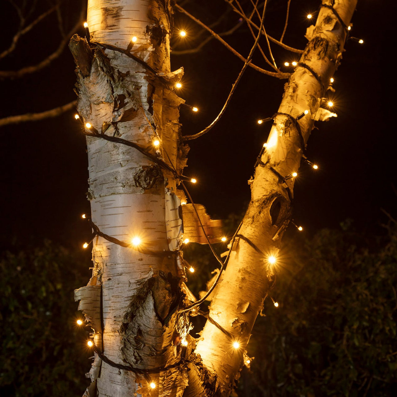 Guirlande Lumineuse 185m 1850 LED Blanc Chaud Classique Câble Noir Raccordable Série Pro