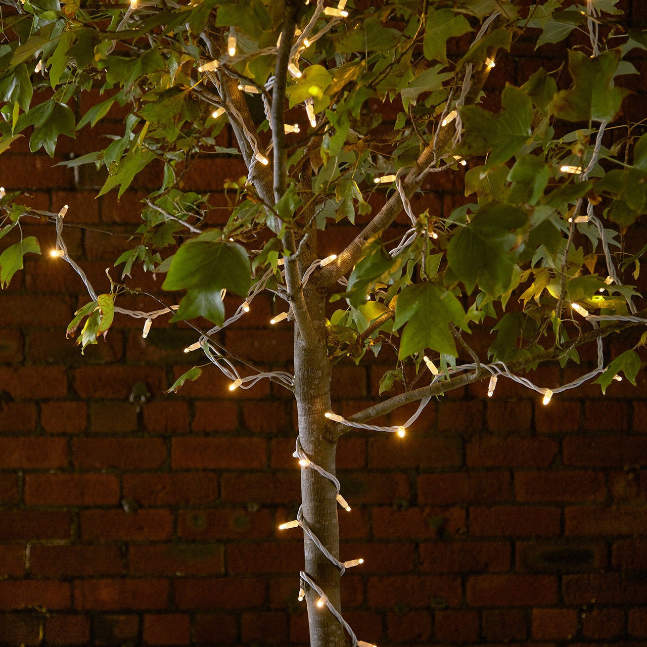 Guirlande Lumineuse 70m 700 LED Blanc Chaud Câble Blanc Raccordable Série Pro