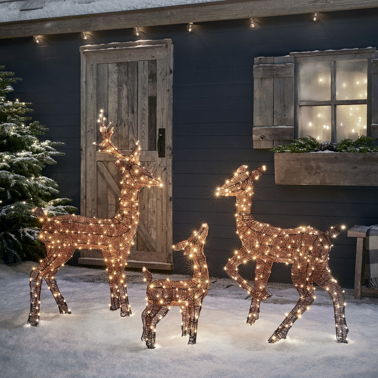 Arbre de Noël avec des cadeaux et des rennes du Père Noël | Vecteur Premium Arbre de Noël avec des cadeaux et des rennes du Père Noël | Vecteur Premium