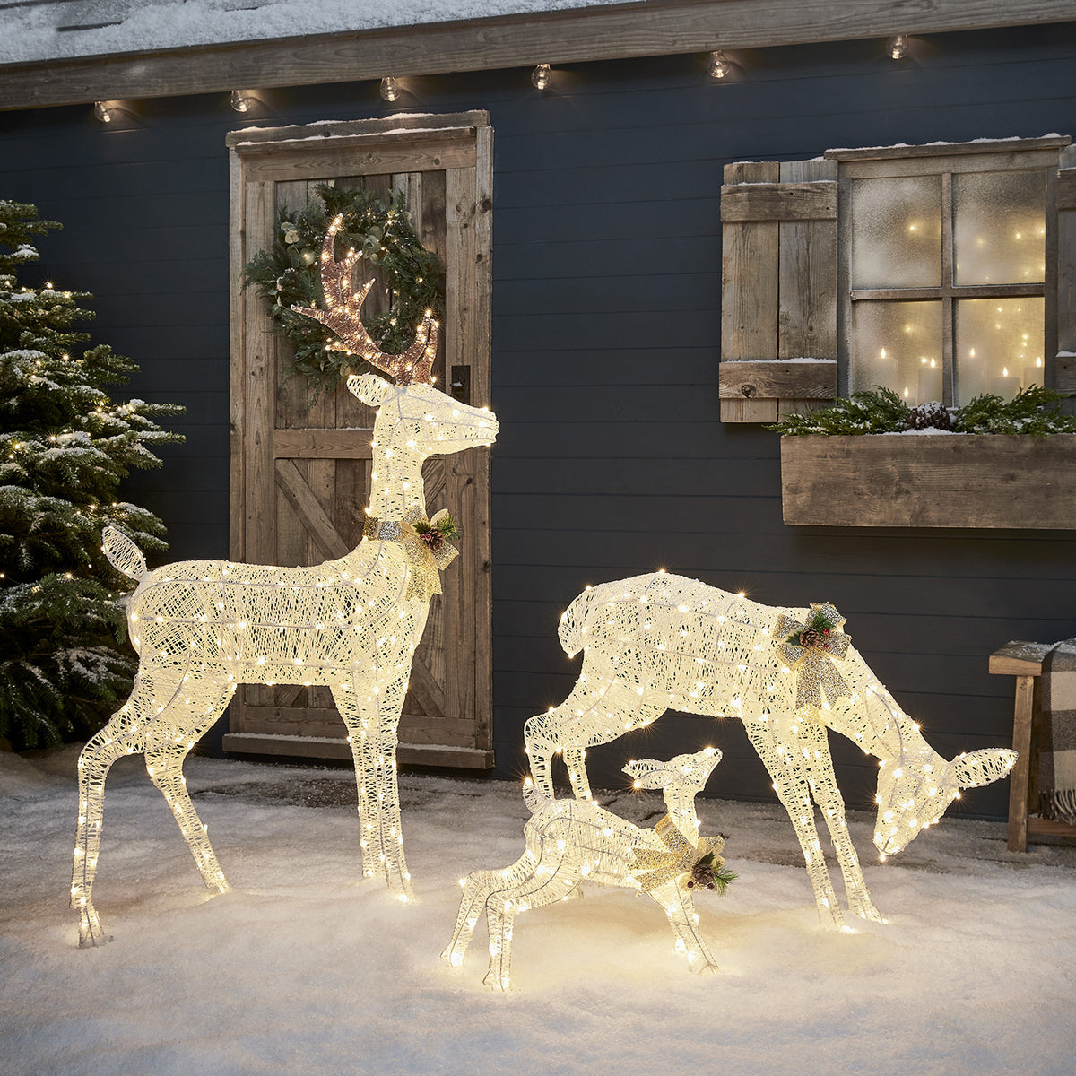 Famille de Rennes de Noël Lumineux Harewood Blancs