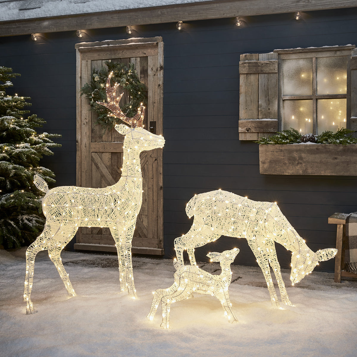 Famille de Rennes de Noël Lumineux Harewood Blancs
