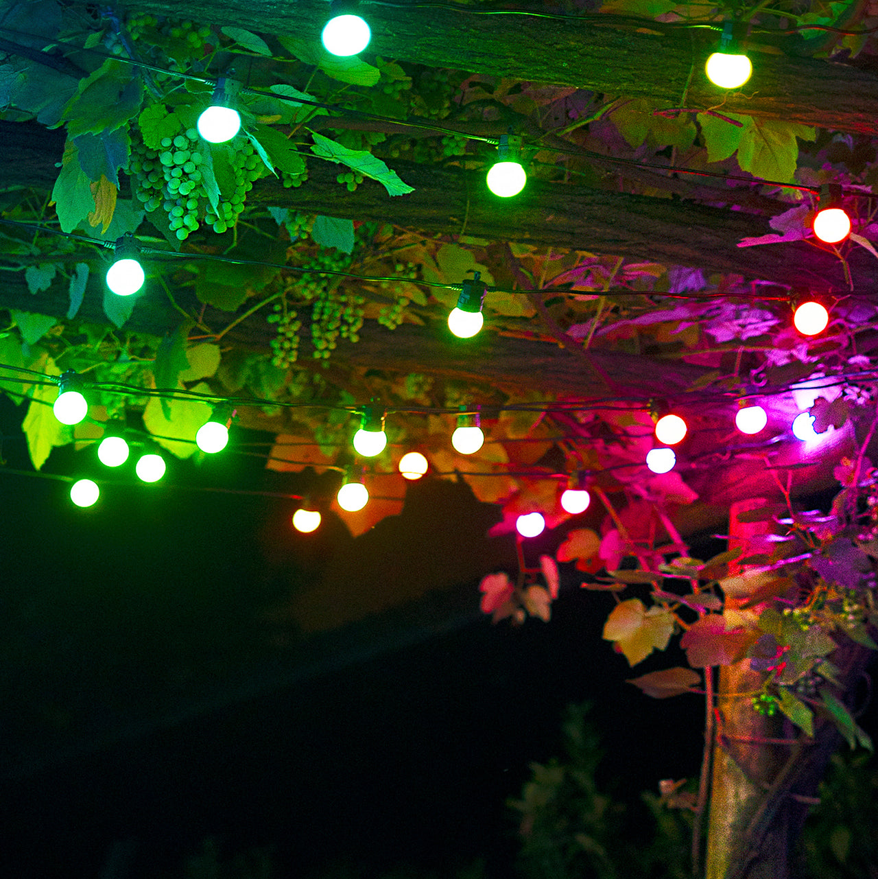 Guinguette Guinguette Multicolores Twinkly de 20m avec 40 LED Contrôlables par Smartphone