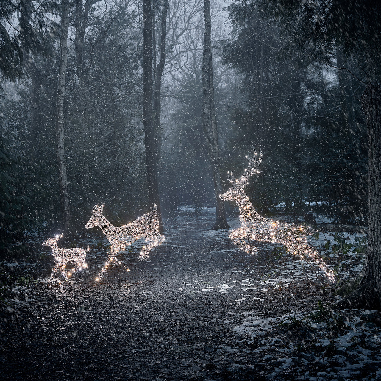 Trio de biche et faon de noël Harlow en rotin 300 LED couleur changeante vue jardin  eneigé