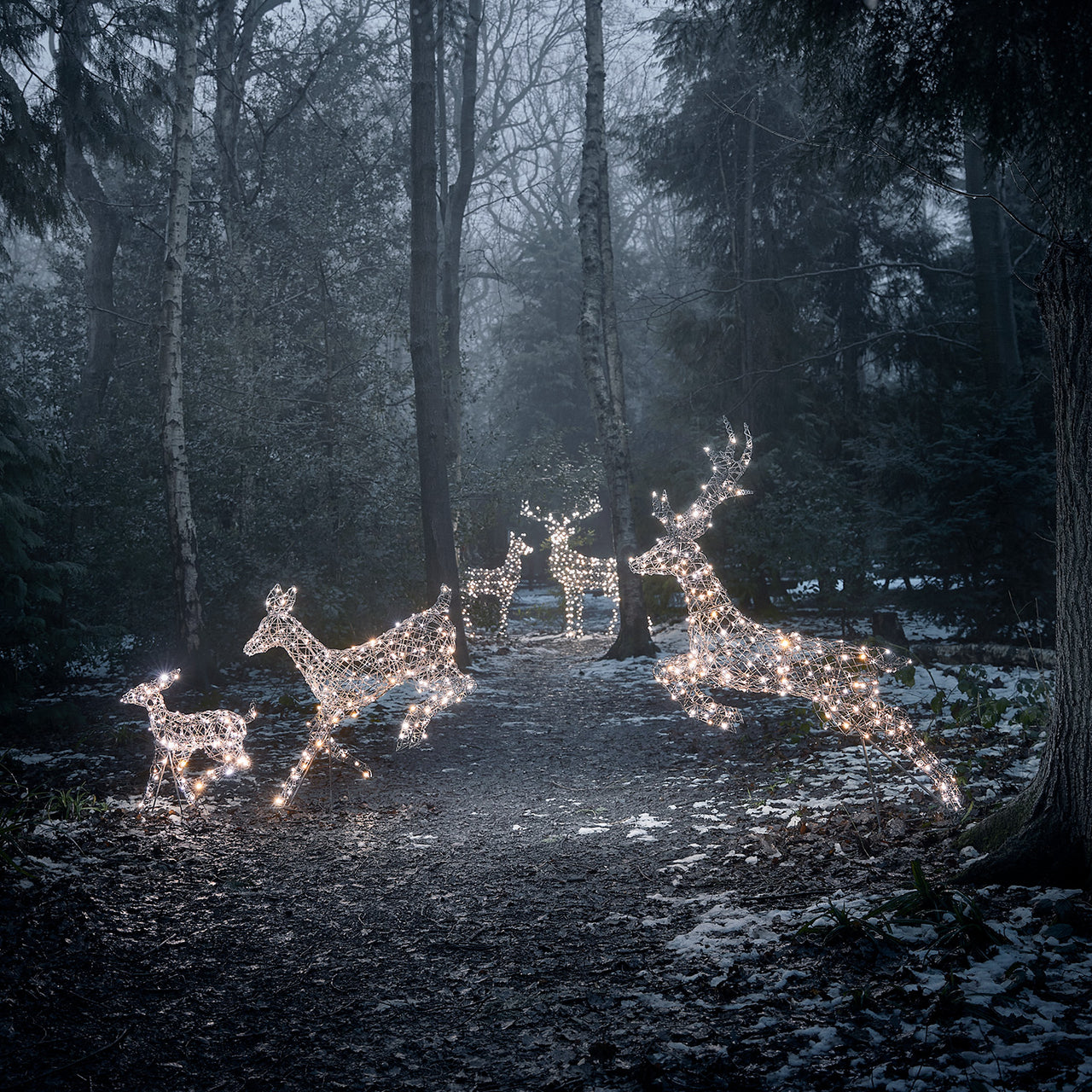 Famille de Rennes de Noël Harlow en Rotin à LED Bicolore