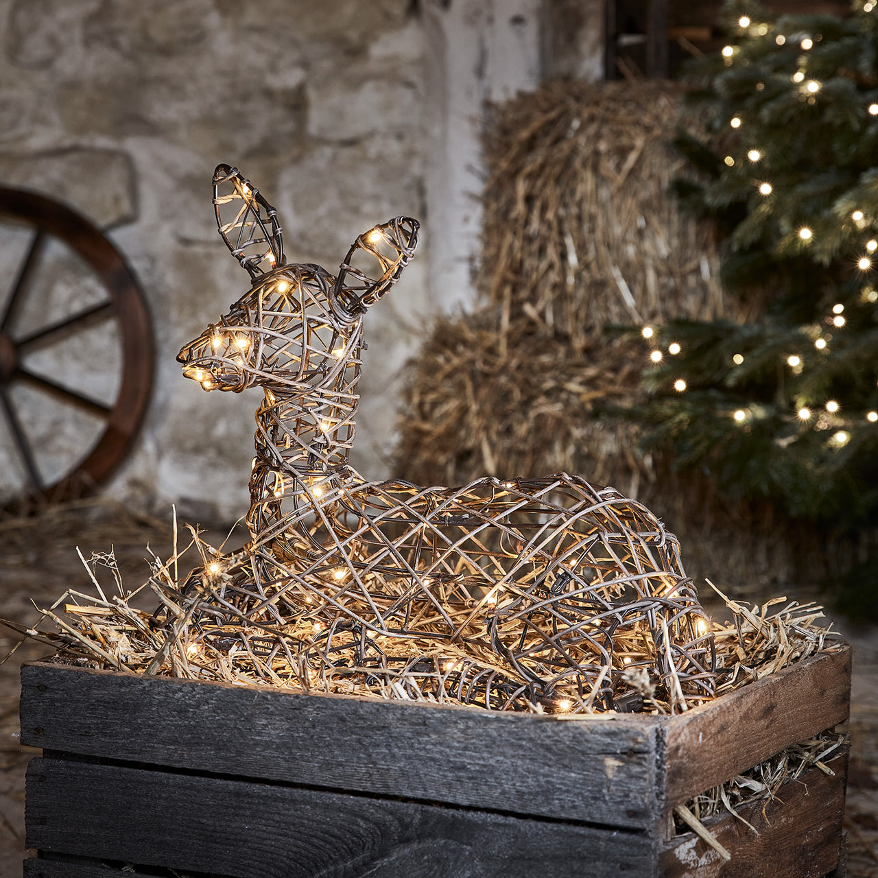 Renne Lumineux Studley - Faon de Noël Couché en Rotin 24v