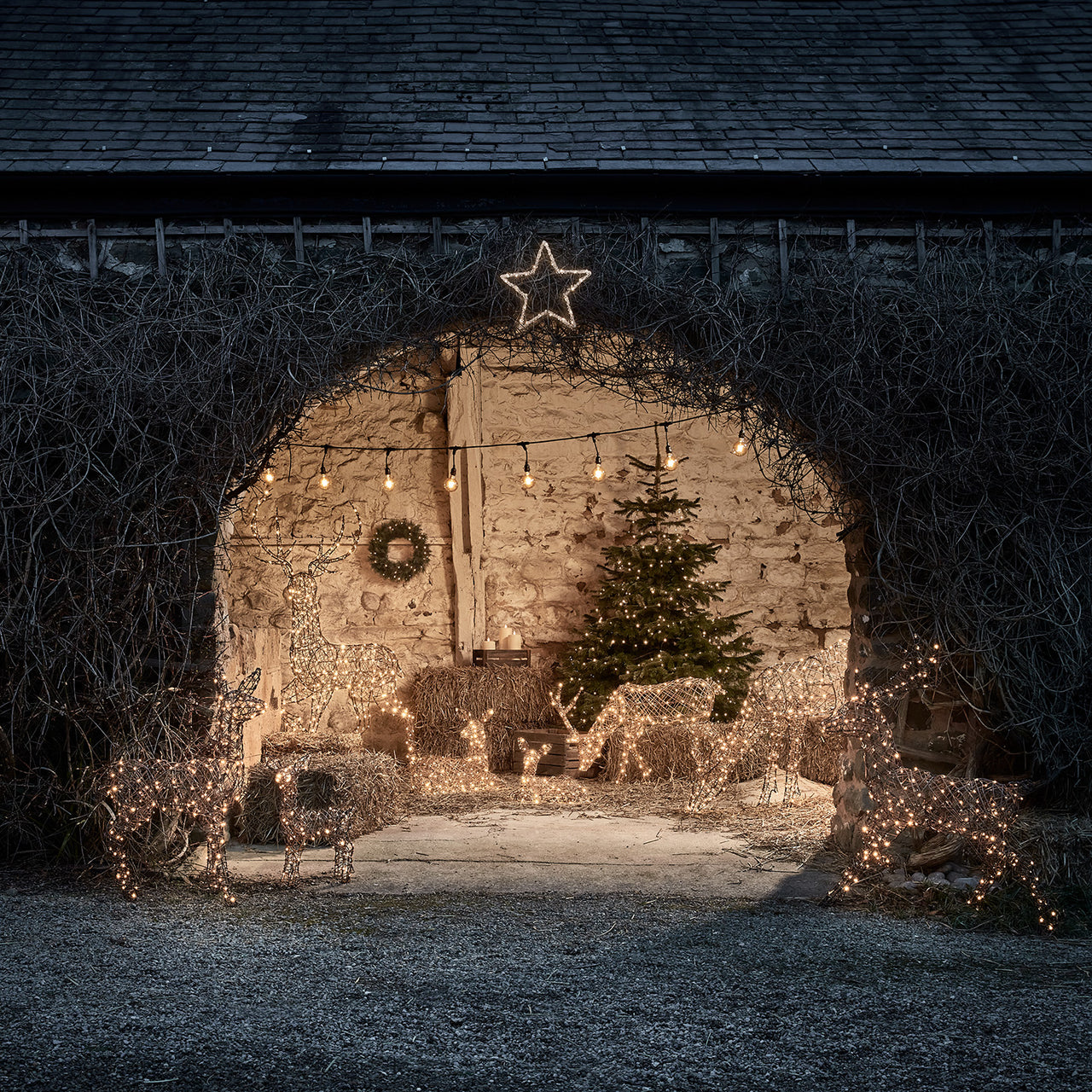 Famille de 8 Rennes de Noël Lumineux Studley en Rotin