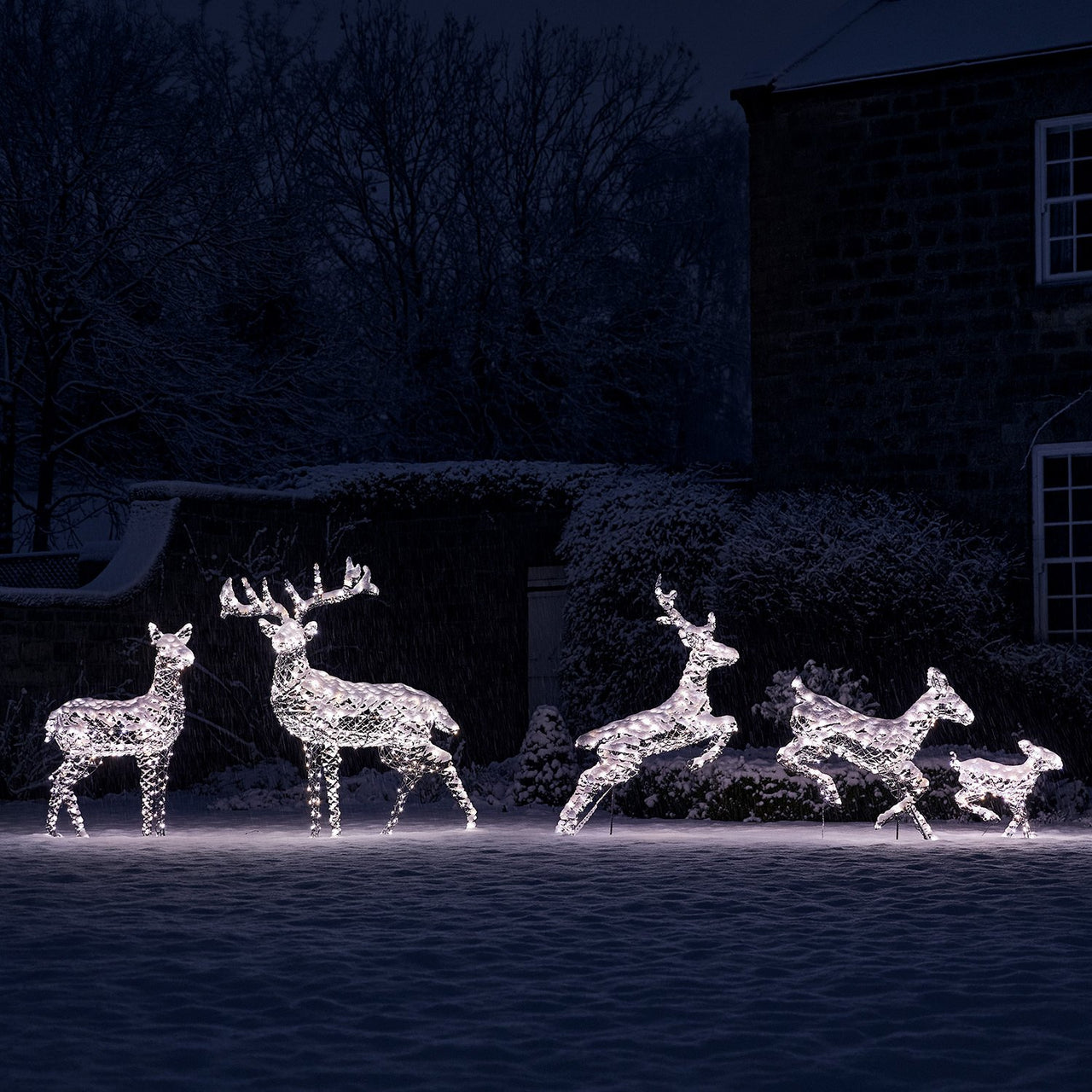 Famille de Rennes de Noël Harlow en Rotin à LED Bicolore